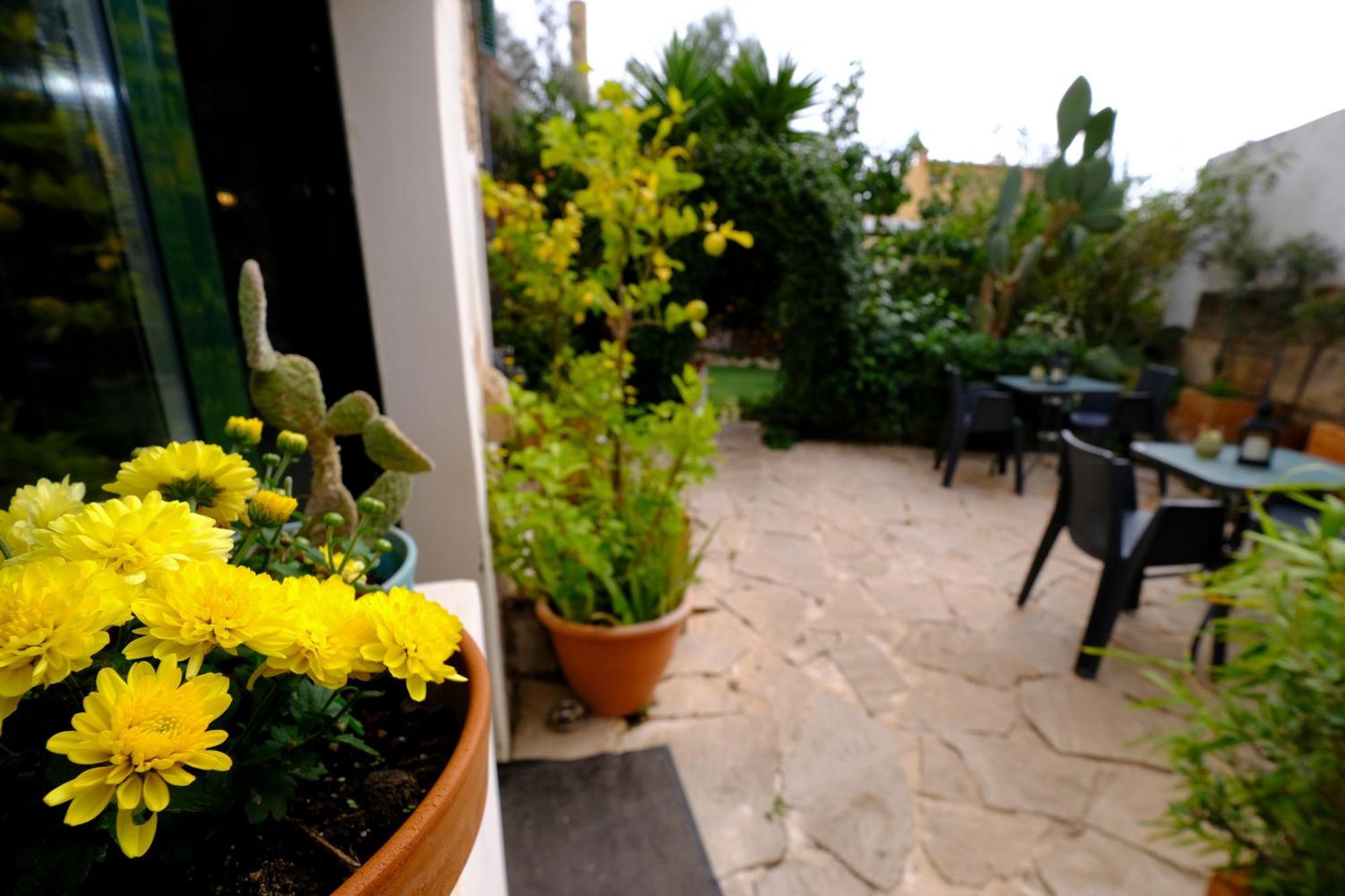 Casa Caimari Guest House, For Mountain Lovers! Bagian luar foto